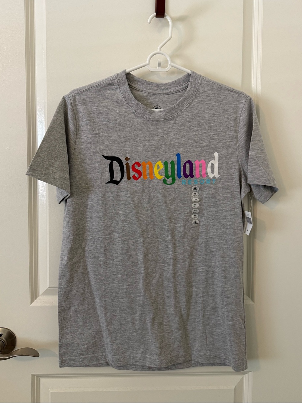 NWT Disneyland Gray Rainbow Inclusive Shirt size XS